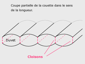 La couette Maxime